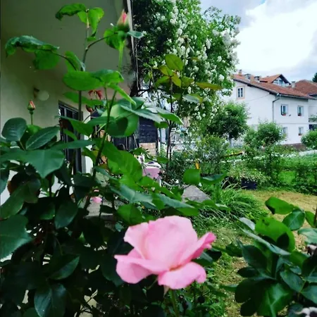 Apartament Amy *
